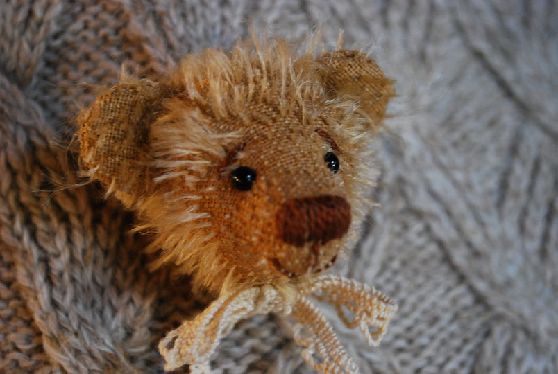 L'Ile à Mousse - La Broche Ours