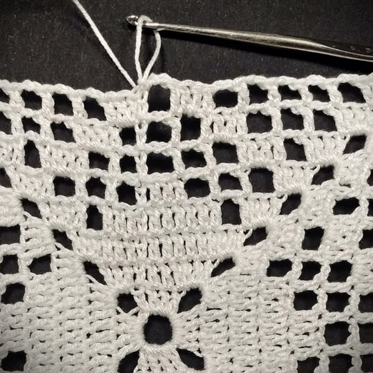 Le fil en Héritage - Atelier le filet au crochet, un monde de possibilités